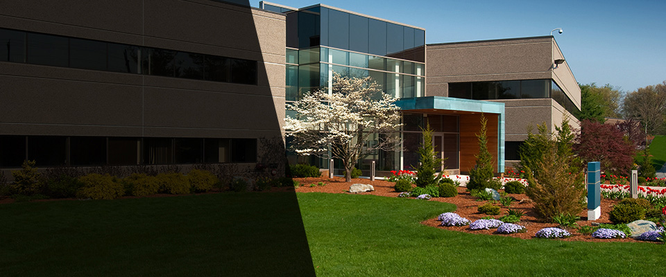 Crystal Bay Landscapers