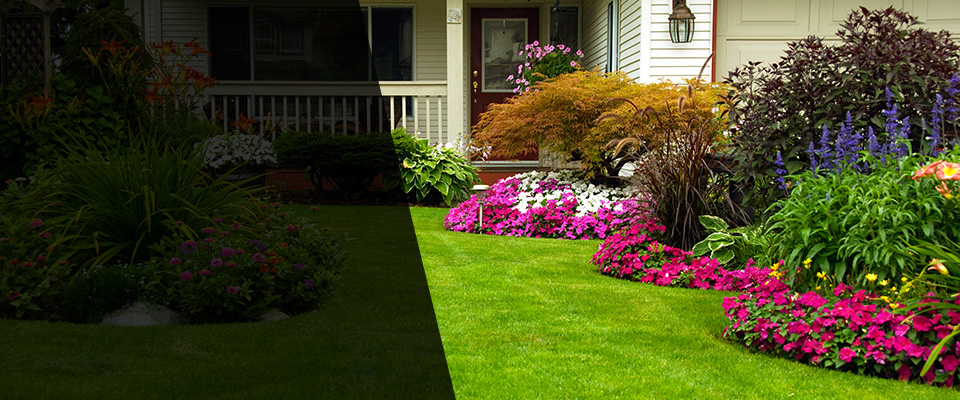 Crystal Bay Landscapers