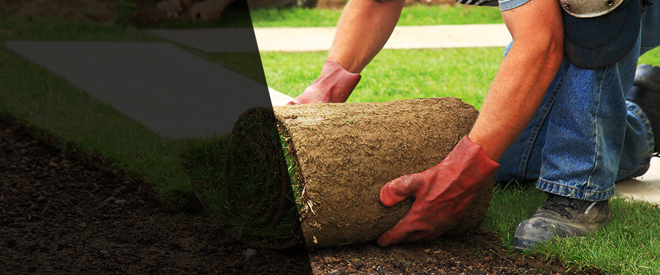 Crystal Bay Landscapers